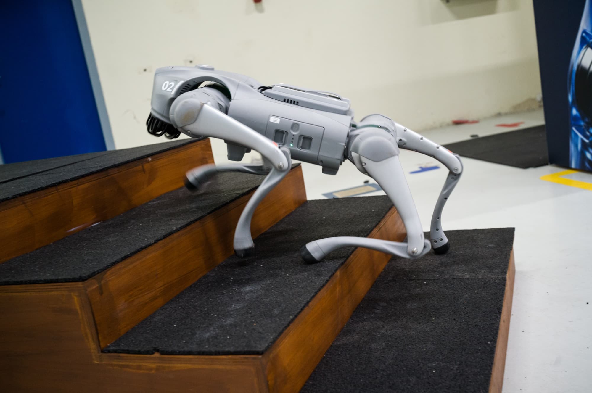 Robothond op een houten trap op de HAC-werkvloer